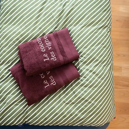 - Le Cocon Des Vignes 펜션 Rodern