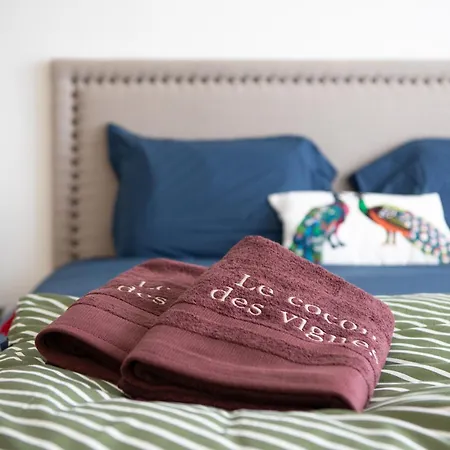 - Le Cocon Des Vignes 펜션 *